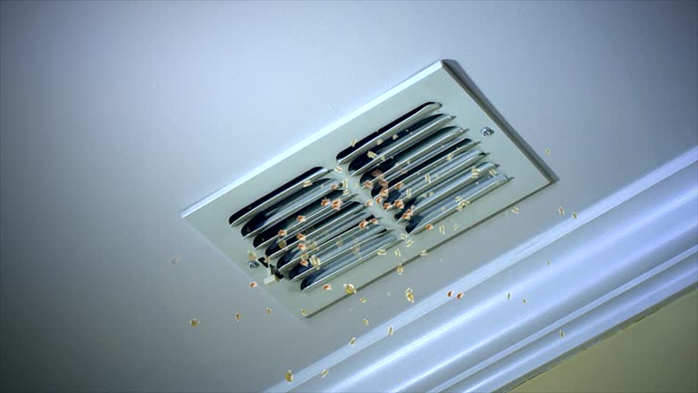 Best Air Duct Cleaning Company Near Me  in The Hills, NJ
