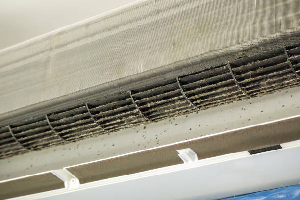 Best Air Duct Cleaning Near Me  in The Hills, NJ