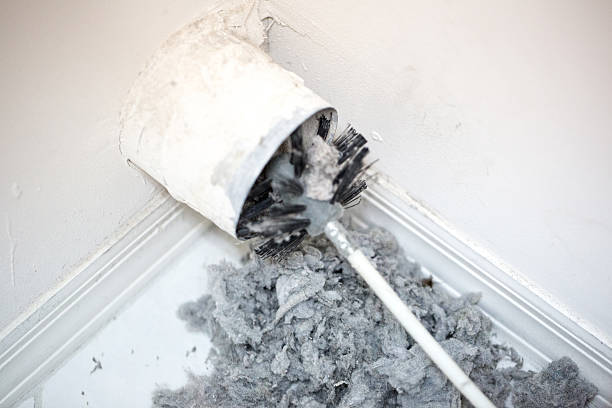 Best Home Air Vent Cleaning  in The Hills, NJ